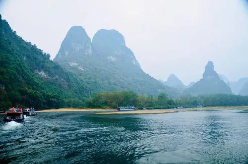高效自动化网络化